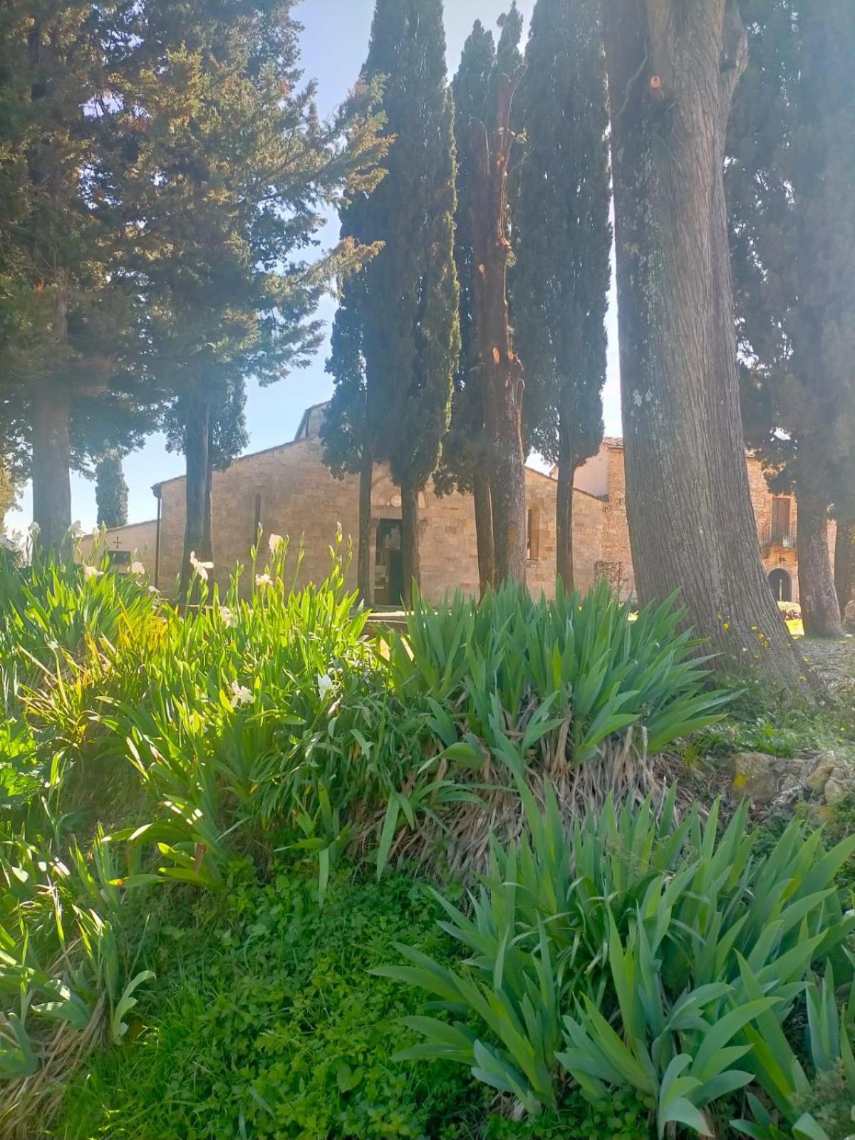 Cielo - Antica Casa Sulla Via Francigena Villa San Gimignano Bagian luar foto